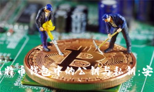 深入解析比特币钱包中的公钥与私钥：安全性与应用