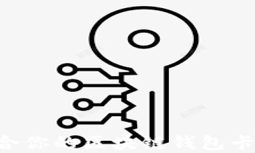 
如何选择适合你的区块链钱包卡包：全面指南