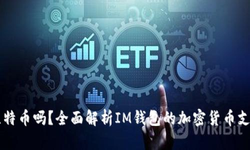 IM钱包可以存比特币吗？全面解析IM钱包的加密货币支持与存储安全性