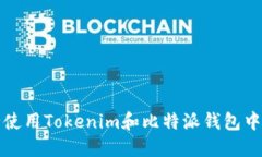 如何安全使用Tokenim和比特